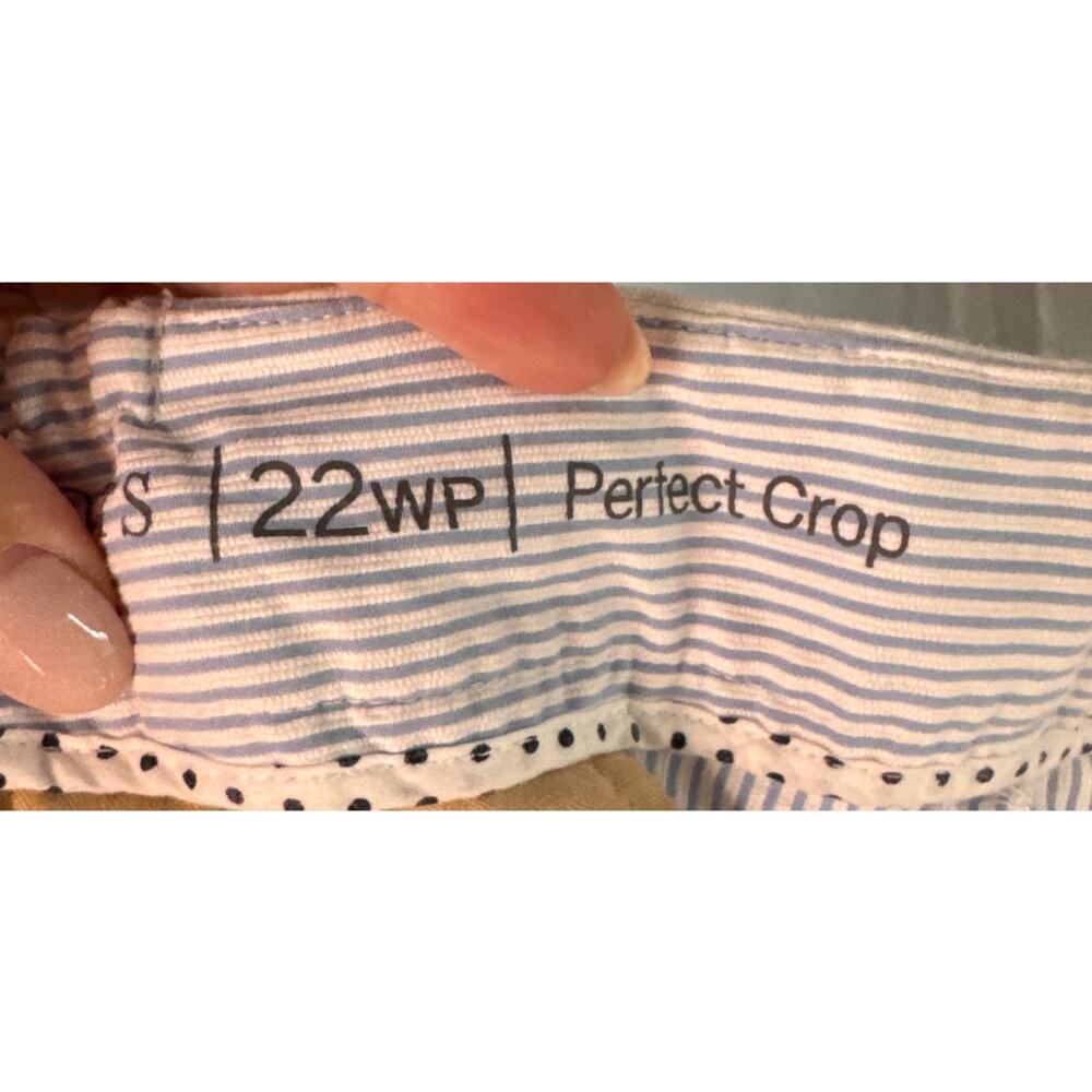 Talbots Perfect Crop Blue and White Striped Capri Pants size 22WP - Picture 5 of 7